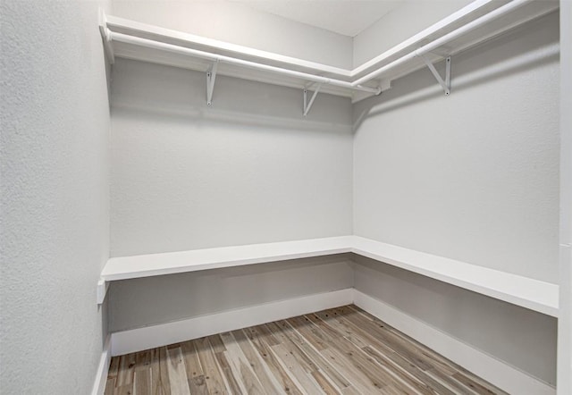 walk in closet featuring wood-type flooring