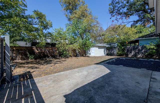 view of yard featuring a patio and a shed