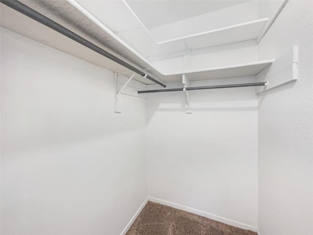 3424 Clarksburg Dr, Austin, TX 78745 - walk in closet featuring carpet