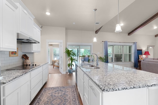 kitchen with sink, pendant lighting, a center island with sink, and ventilation hood