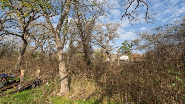 view of local wilderness