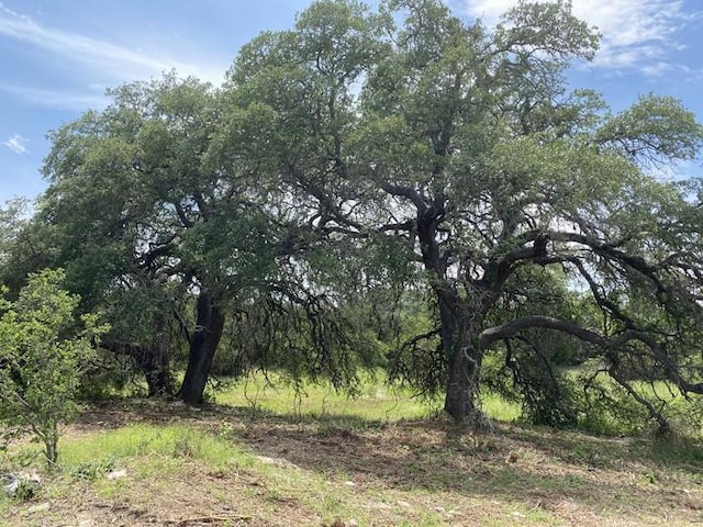 Listing photo 3 for TBD Longhorn Trail, Wimberley TX 78676