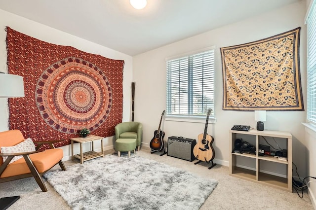 sitting room featuring carpet floors