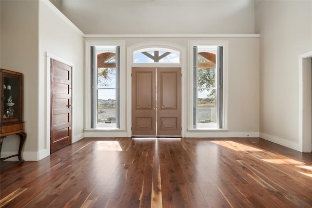 entrance foyer featuring dark wood-type flooring