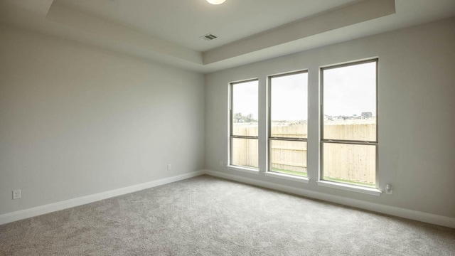 1024 Lariat Loop, Liberty Hill, TX 78642 - unfurnished room with a raised ceiling, carpet floors, and baseboards