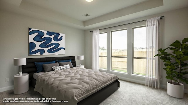 1024 Lariat Loop, Liberty Hill, TX 78642 - carpeted bedroom with a tray ceiling and baseboards
