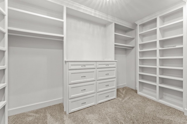 walk in closet featuring light colored carpet