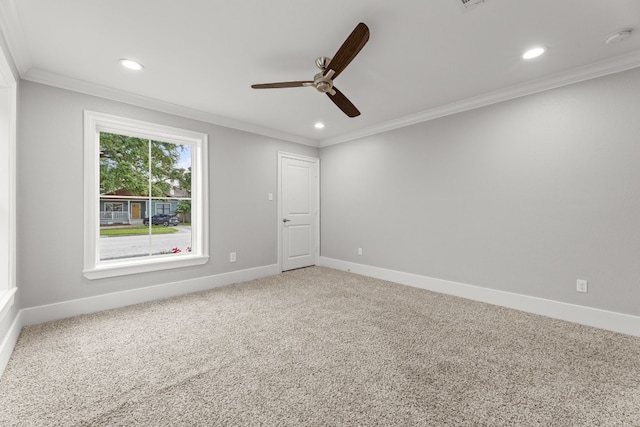 empty room featuring ceiling fan, carpet, and ornamental molding