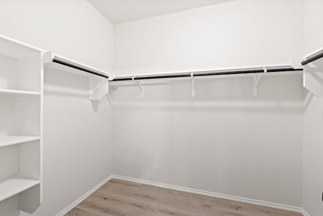 spacious closet with light hardwood / wood-style flooring