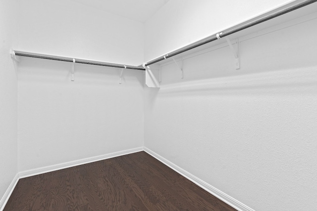 walk in closet featuring hardwood / wood-style flooring