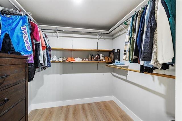 walk in closet featuring light wood-type flooring