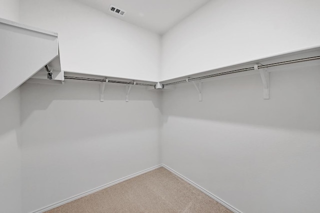 8004 Tranquil Glade Trl, Austin, TX 78744 - spacious closet featuring carpet flooring