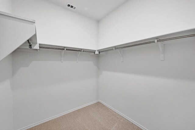 8004 Tranquil Glade Trl, Austin, TX 78744 - spacious closet with carpet