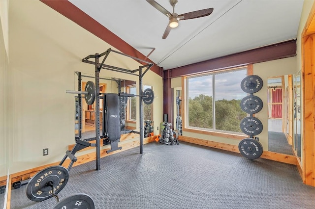 176 Elk Rdg, Canyon Lake, TX 78133 - exercise area with a garage, ceiling fan, vaulted ceiling, and carpet