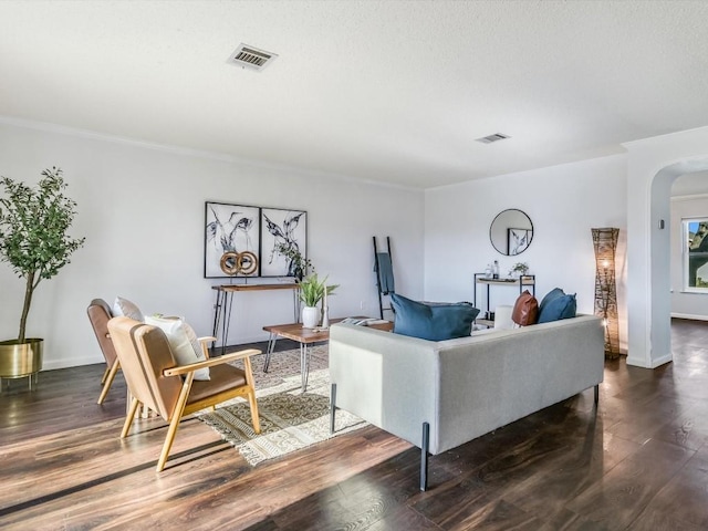 living room with dark hardwood / wood-style flooring