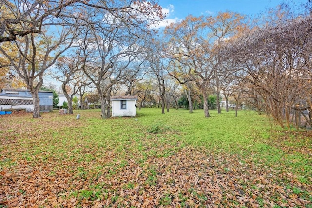 view of yard featuring a storage shed