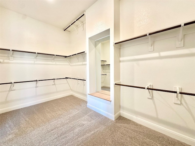 walk in closet featuring carpet