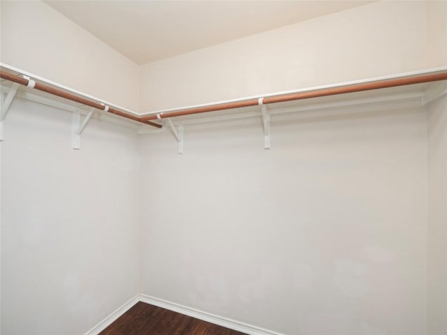 spacious closet featuring dark wood-type flooring