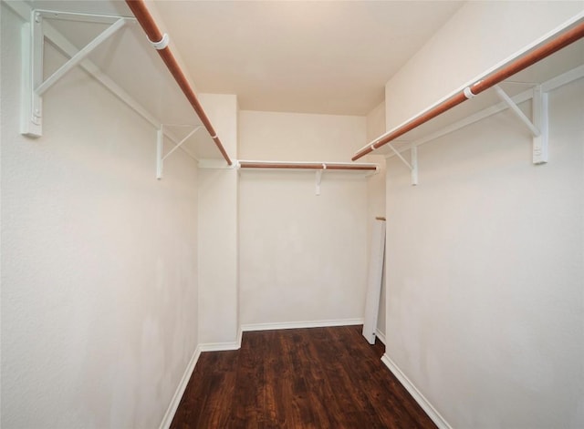 walk in closet with dark wood-type flooring