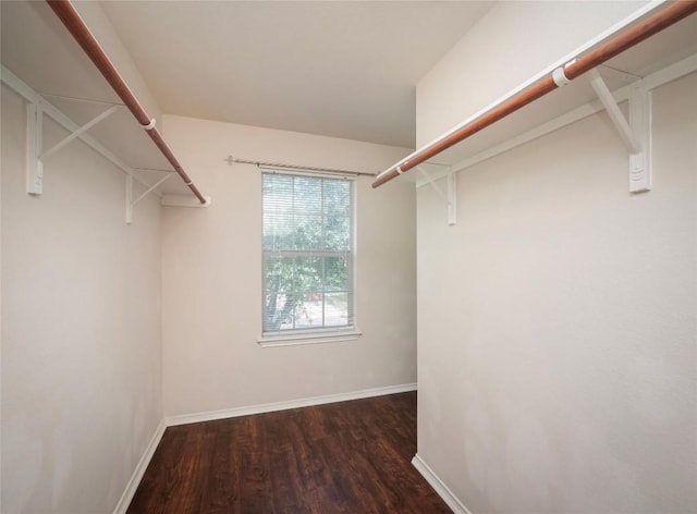 spacious closet featuring dark hardwood / wood-style flooring