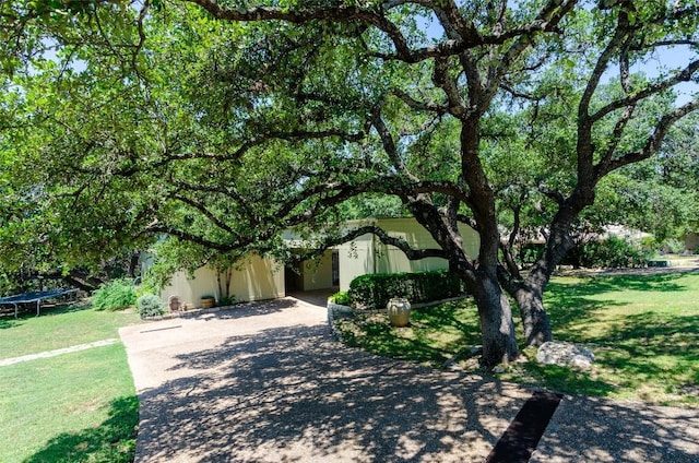 view of property hidden behind natural elements with a trampoline and a front yard