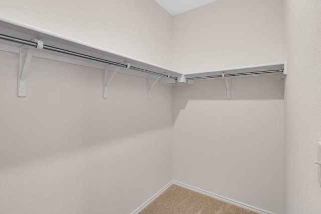 8010 Tranquil Glade Trl, Austin, TX 78744 - photo 25