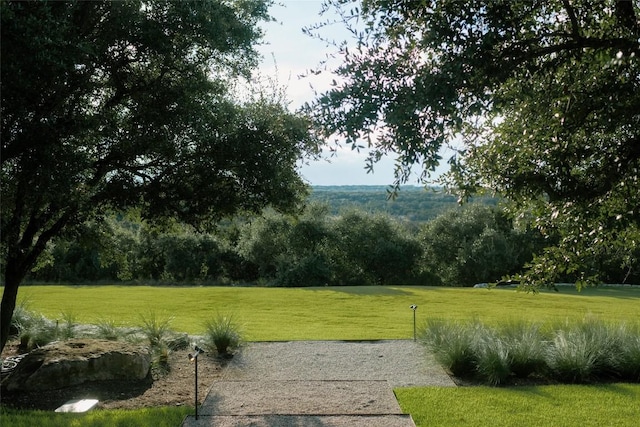 view of home's community with a lawn