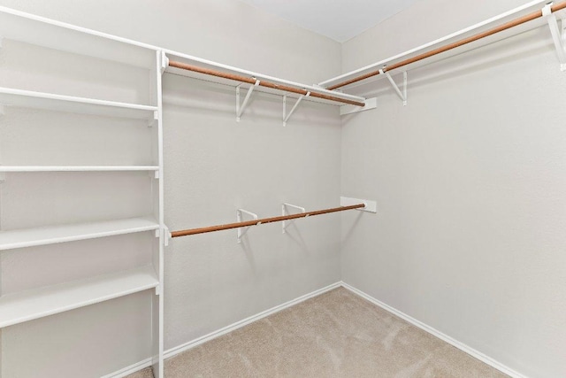 1807 Iris Ln, Cedar Park, TX 78613 - walk in closet with carpet floors