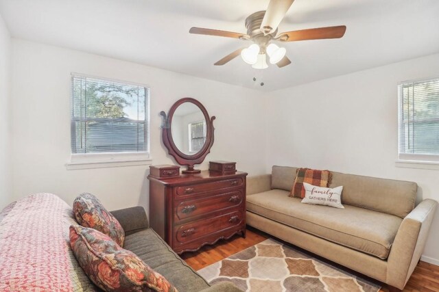 living room with a wealth of natural light, ceiling fan, and wood-type flooring