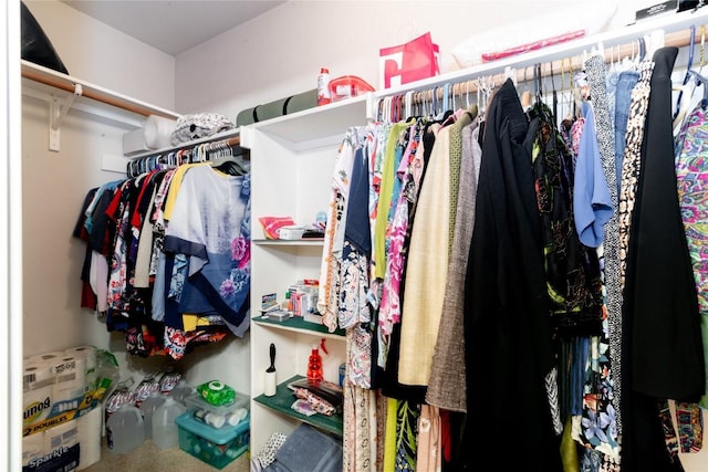 view of spacious closet