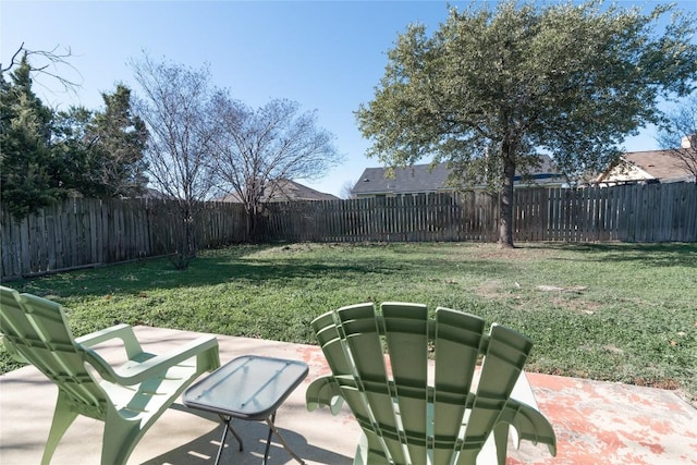 view of yard featuring a patio area