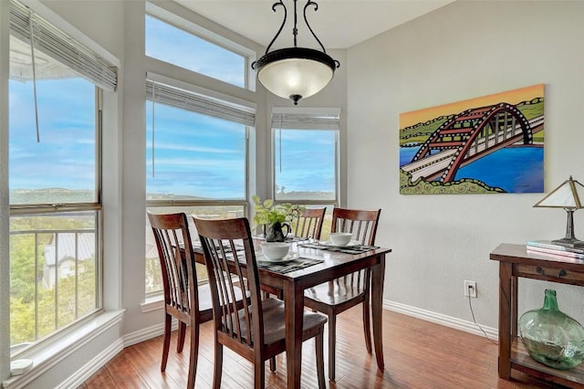 dining room with plenty of natural light and wood-type flooring