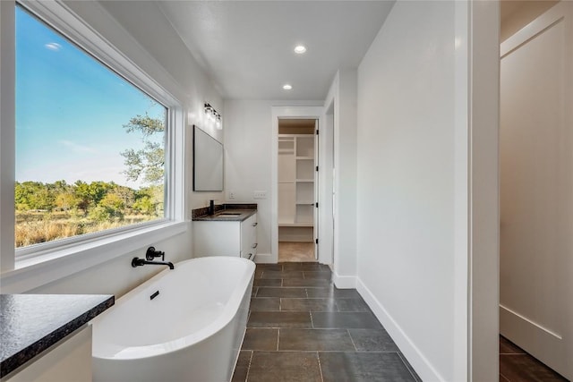 bathroom with a bathtub, vanity, and a healthy amount of sunlight