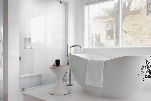 bathroom featuring a washtub