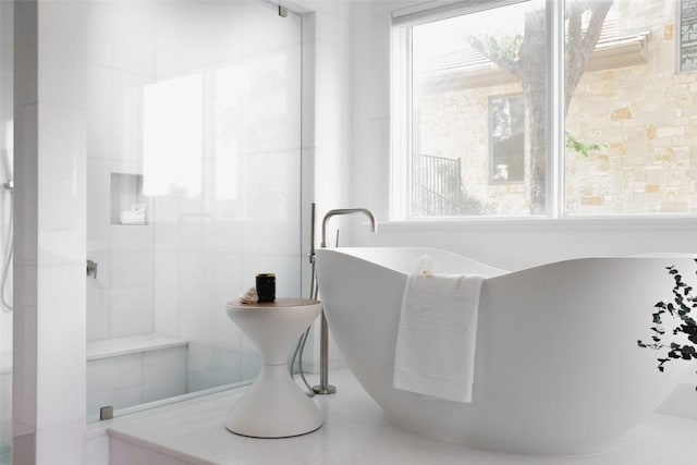 2005 Far Gallant Dr, Austin, TX 78746 - bathroom featuring plenty of natural light and a freestanding tub
