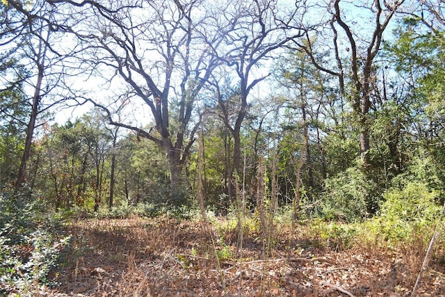 10318-1 Parsons Rd, Manor TX, 78653 land for sale