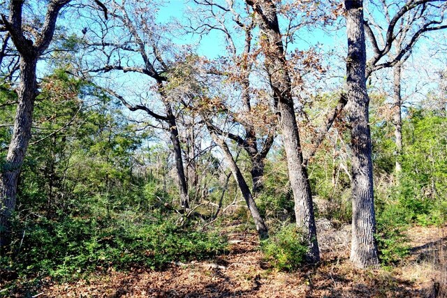10318-1 Parsons Rd, Manor, TX 78653 - photo 3