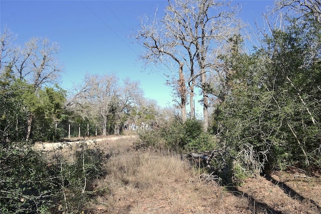 10318-1 Parsons Rd, Manor, TX 78653 - photo 5