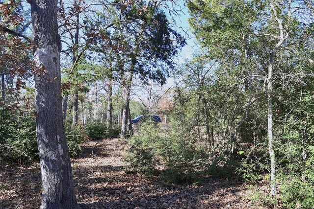 10318-1 Parsons Rd, Manor, TX 78653 - photo 4