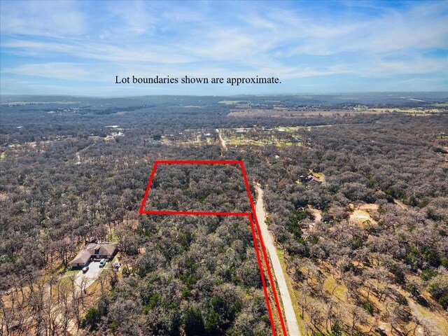 10318-1 Parsons Rd, Manor, TX 78653 - photo 10