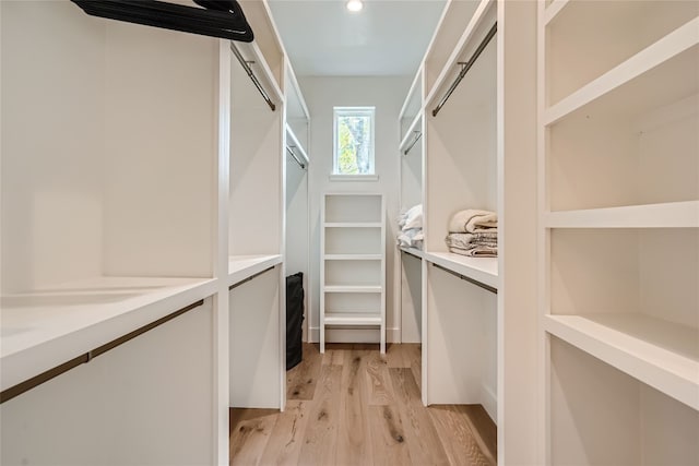 spacious closet featuring light wood-type flooring