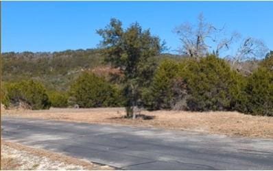 LOT52 Montana Springs Cv, Marble Falls TX, 78654 land for sale