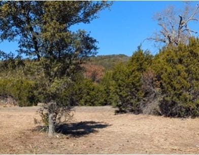 Listing photo 2 for LOT52 Montana Springs Cv, Marble Falls TX 78654