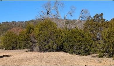 Listing photo 3 for LOT52 Montana Springs Cv, Marble Falls TX 78654