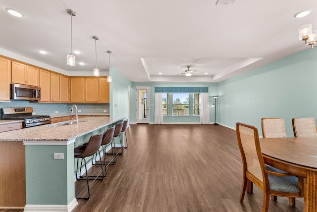 kitchen with appliances with stainless steel finishes, a raised ceiling, ceiling fan, a kitchen island with sink, and sink