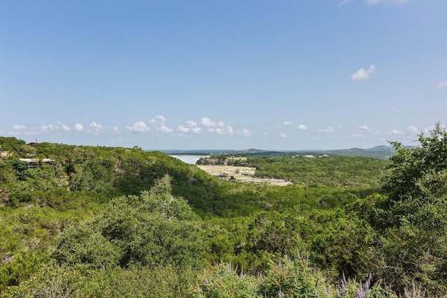 view of local wilderness