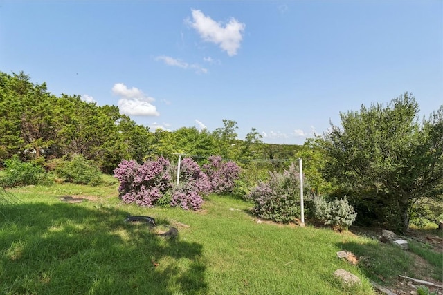 775 Ramblewood Dr, Canyon Lake, TX 78133 - photo 30