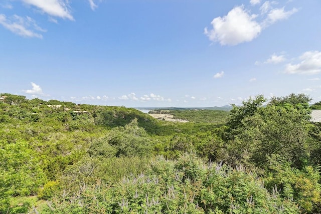 775 Ramblewood Dr, Canyon Lake, TX 78133 - photo 31