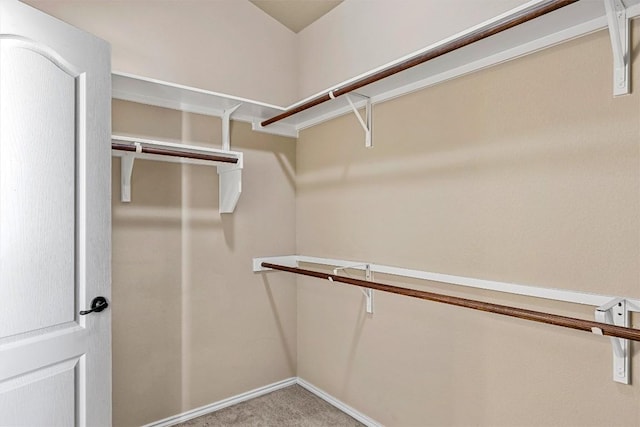 spacious closet featuring light colored carpet