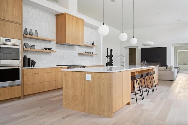 kitchen with light hardwood / wood-style flooring, tasteful backsplash, stainless steel appliances, and an island with sink